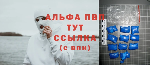 ПСИЛОЦИБИНОВЫЕ ГРИБЫ Белокуриха