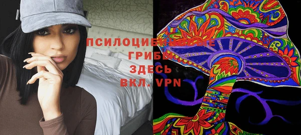 марки lsd Богданович