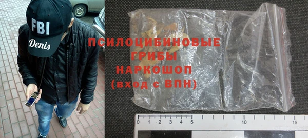 ПСИЛОЦИБИНОВЫЕ ГРИБЫ Белокуриха
