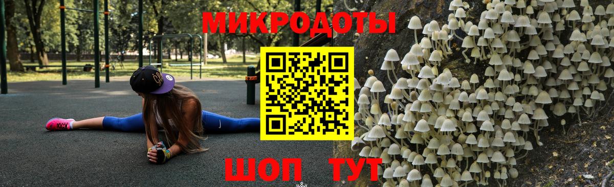 Галлюциногенные грибы GOLDEN TEACHER  Вход с VPN  Северск 